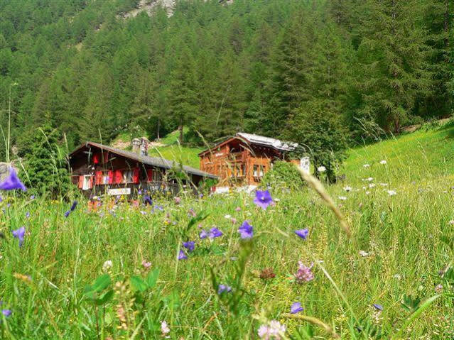 Ferienwohnung Haus Alpenperle Saas-Almagell Exterior foto